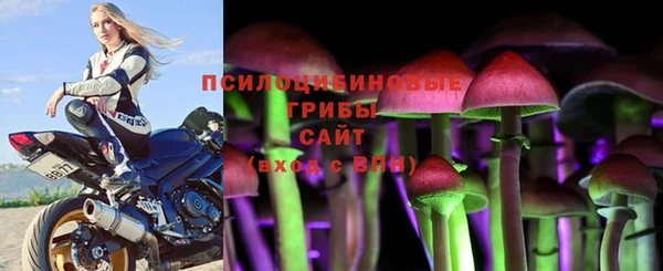 мдпв Беломорск