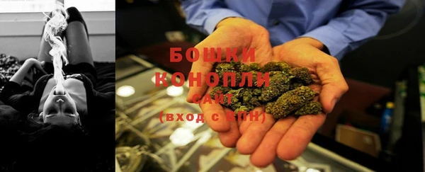 ГАЛЛЮЦИНОГЕННЫЕ ГРИБЫ Белокуриха