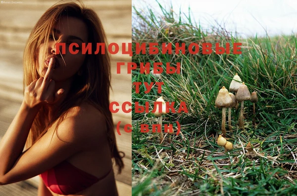 мдпв Беломорск