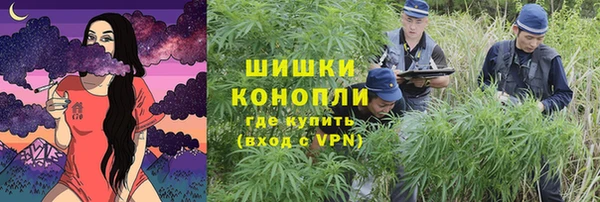 ГАЛЛЮЦИНОГЕННЫЕ ГРИБЫ Белокуриха