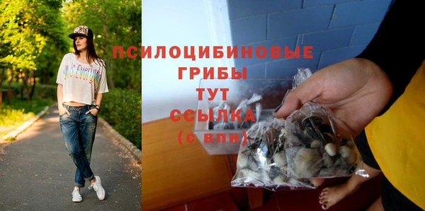 ГАЛЛЮЦИНОГЕННЫЕ ГРИБЫ Белокуриха